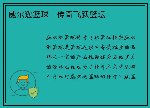 威尔逊篮球：传奇飞跃篮坛