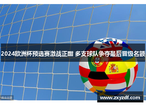 2024欧洲杯预选赛激战正酣 多支球队争夺最后晋级名额